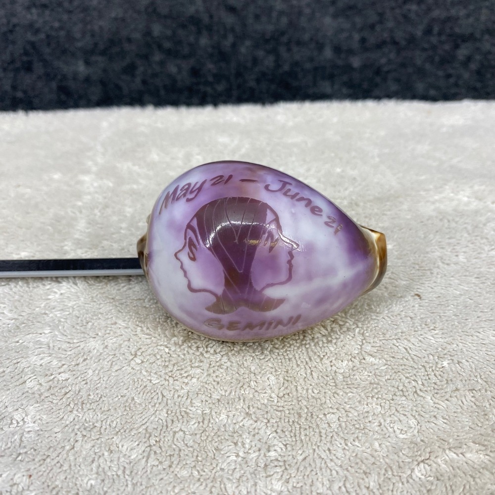 Gemini Zodiac Etched Cowrie Sea Shell May 21 - June 21 Purple Polished Decor